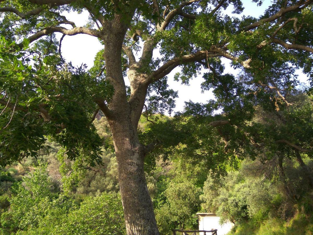 Aerinos House Βίλα Εξωτερικό φωτογραφία