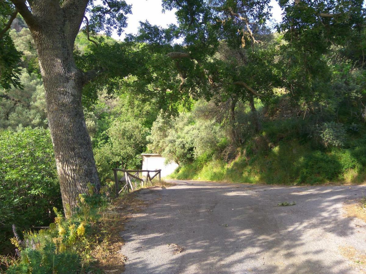 Aerinos House Βίλα Εξωτερικό φωτογραφία